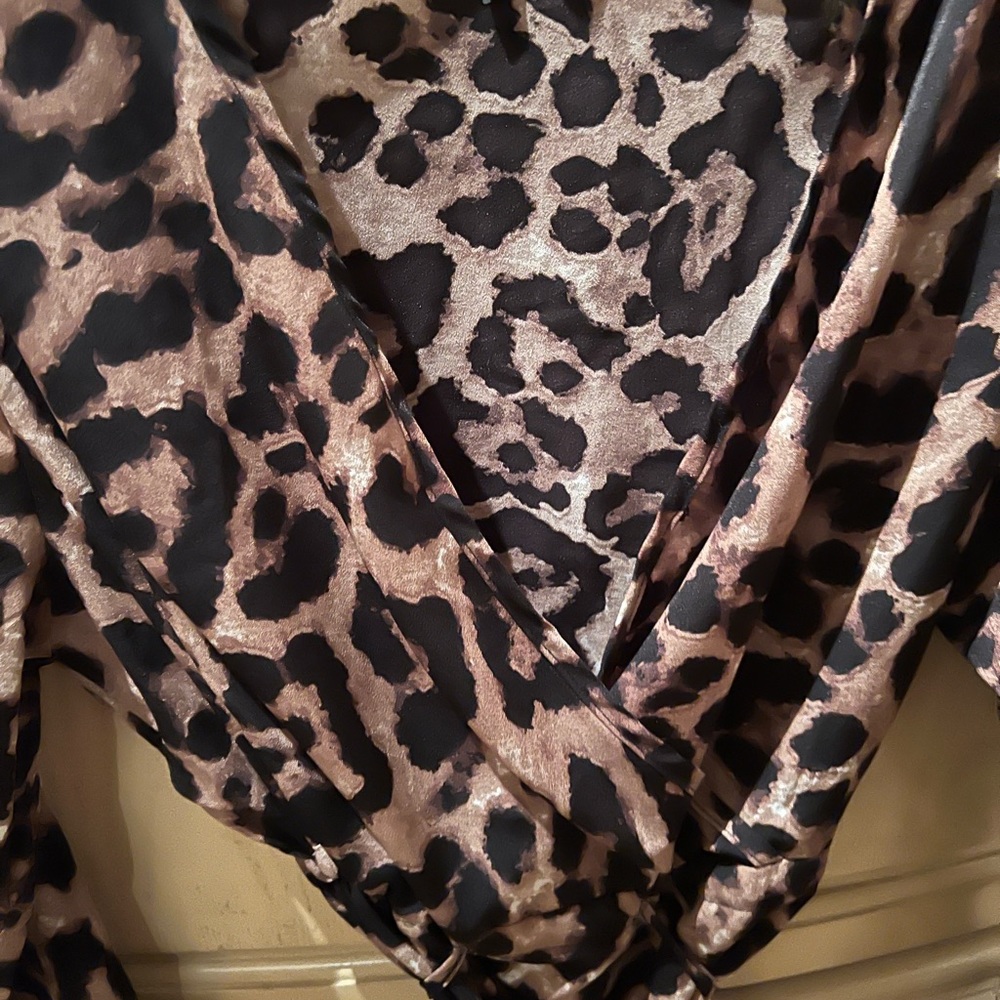 NWOT faux wrap v-neck leopard print dress - Picture 4 of 9